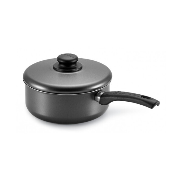 OLLA 20 CM LINEA MAGNIFIC TAPA TRANSP. METAL