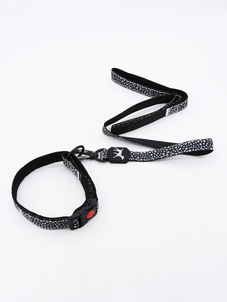 SET COLLAR CON CORREA MULTICOLOR