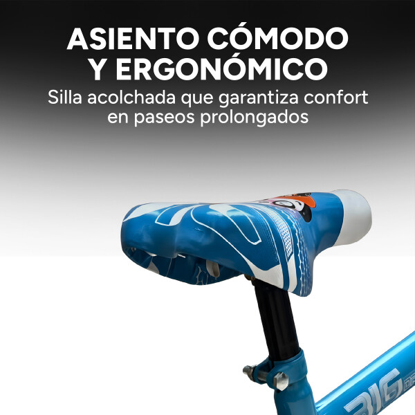 Bicicleta Infantil XMZ Rodado16 Canasto Parrilla Guardabarro Verde 1