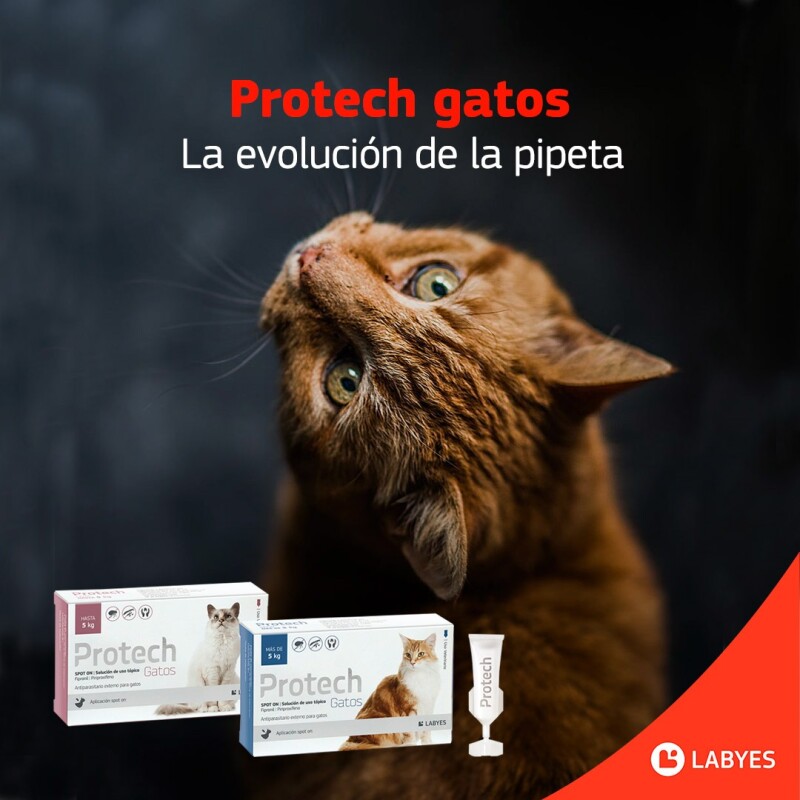 PROTECH PIPETA ANTIPULGAS CON ACCIÓN AMBIENTAL PARA GATOS HASTA 5 KG