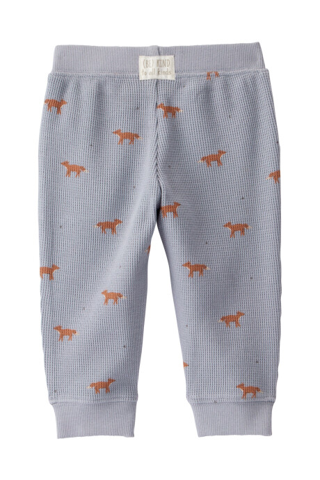 Set dos piezas de algodón orgánico, pantalón y buzo, diseño zorro Sin color