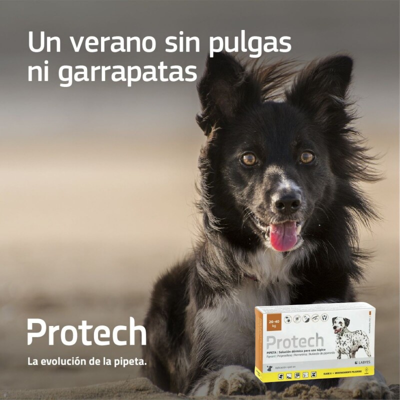 PROTECH PIPETA ANTIPULGAS Y GARRAPATAS CON ACCIÓN AMBIENTAL PARA PERROS DE 26 A 40 KG