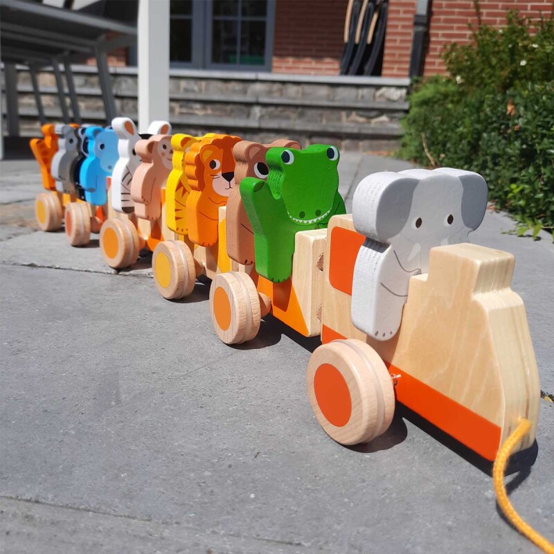 Tren de arrastre Trainimo Jungle Djeco Tren de arrastre Trainimo Jungle Djeco