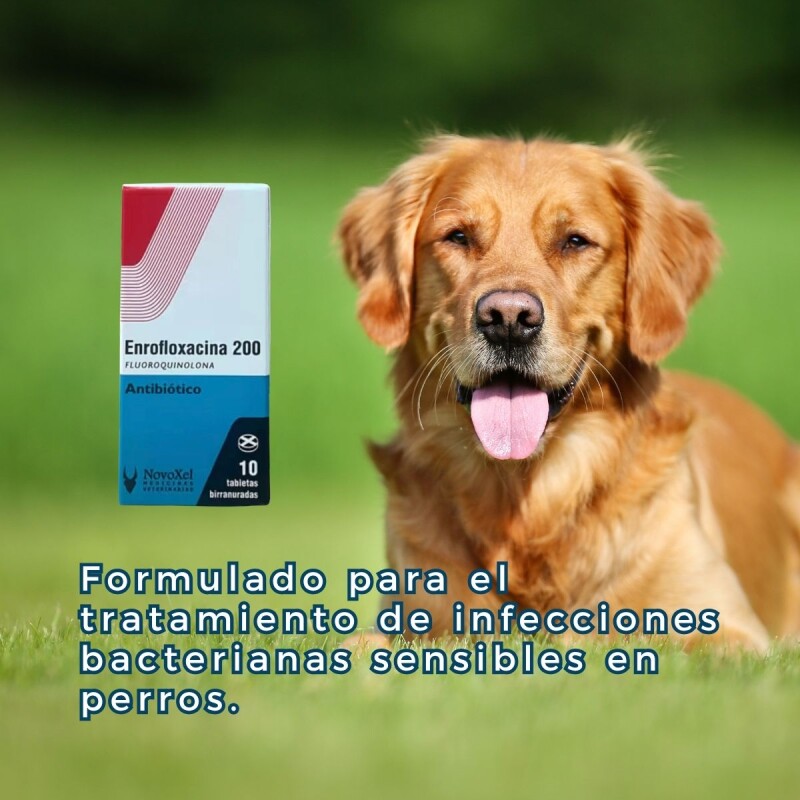 ENROFLOXACINA 200 MG X 10 COMPRIMIDOS ENROFLOXACINA 200 MG X 10 COMPRIMIDOS