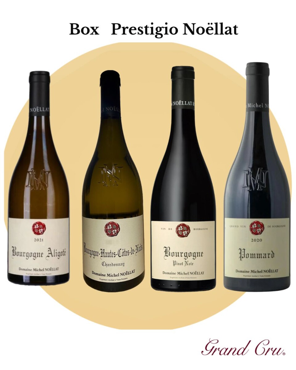 Box Prestigio Noëllat 