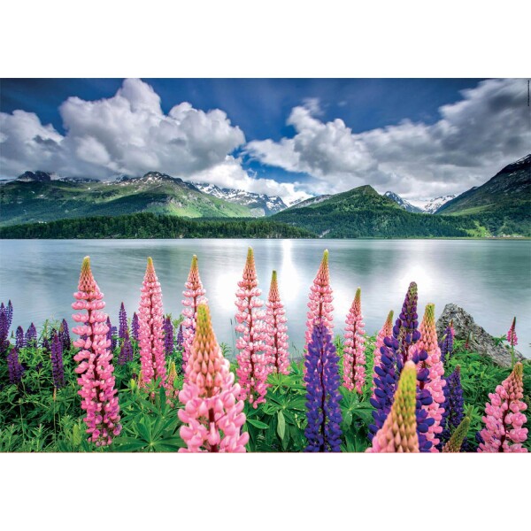 Puzzle Rompecabeza Paisaje Flores Suiza 1500 Piezas Educa Puzzle Rompecabeza Paisaje Flores Suiza 1500 Piezas Educa