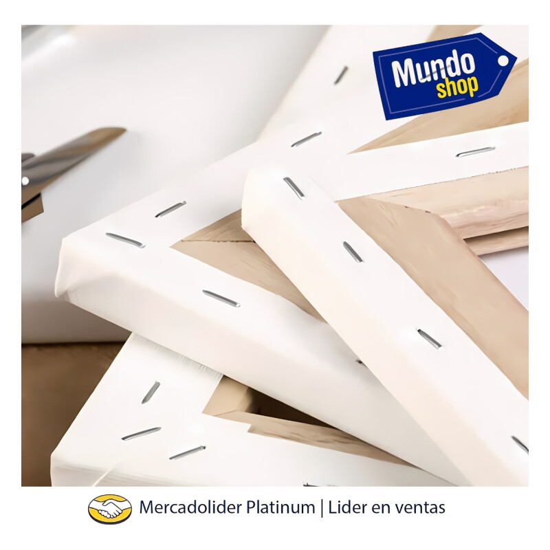Pack X 5 Lienzo Bastidor 20x20cm Cuadro Pintura Oleo Blanco Blanco