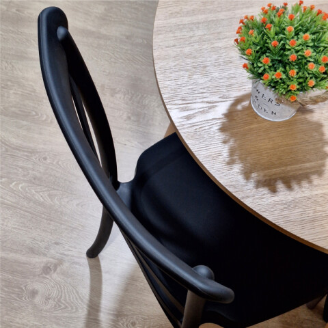 Silla Estilo Nórdico Katrina Para Comedor o Jardín - Negro Silla Estilo Nórdico Katrina Para Comedor o Jardín - Negro