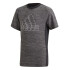 Remera de Niño Adidas B.A.R Kids Gris - Negro