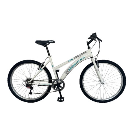 Bicicleta Baccio R.24 Niña Mtb Alpina Blanco/turquesa.