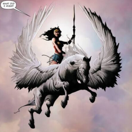 Wonder Woman on Pegasus - DC WW80th - 280 Wonder Woman on Pegasus - DC WW80th - 280