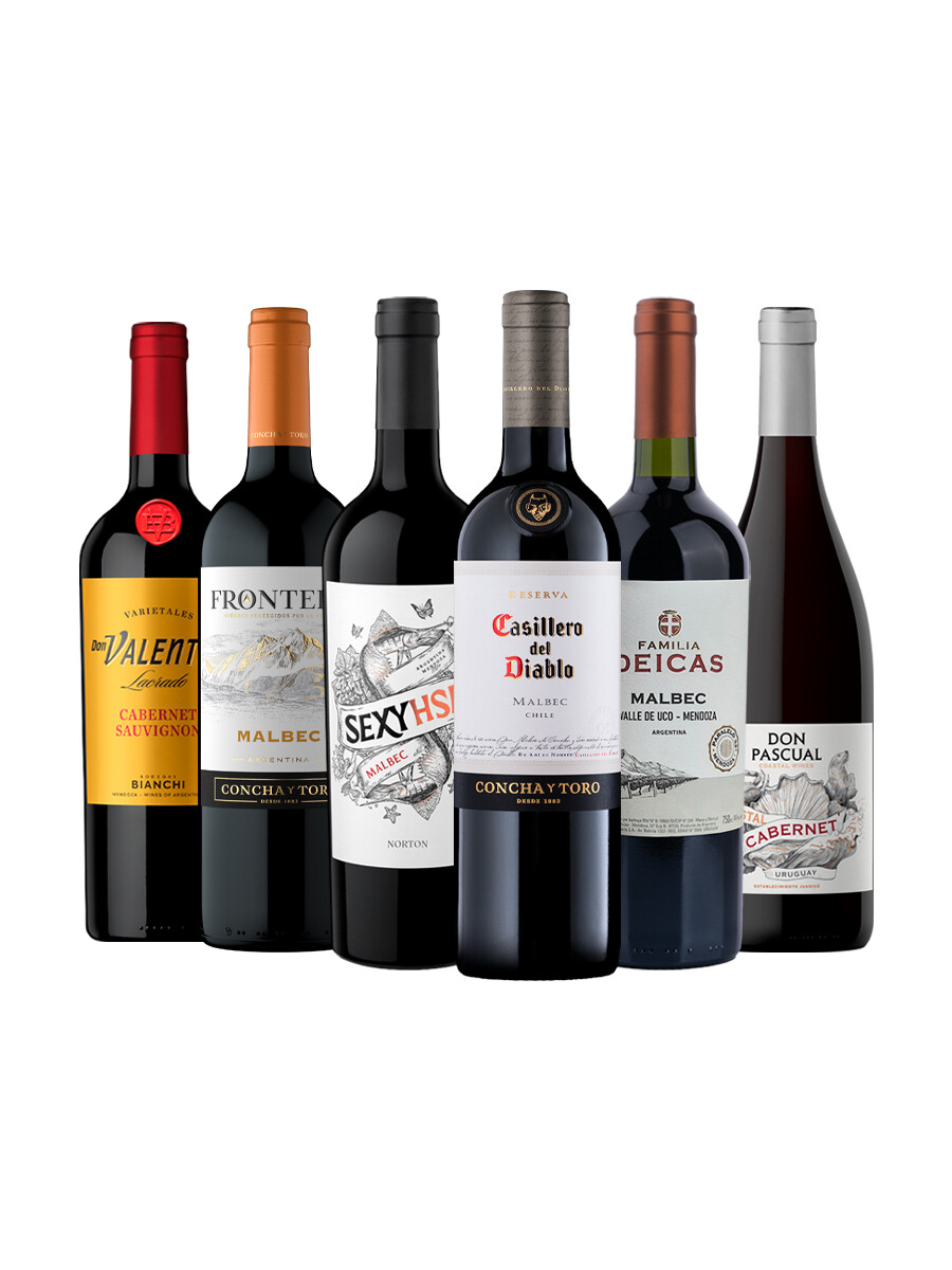 Pack Bacán Selección Los más elegidos por su confiabilidad y accesibilidad x6 vinos Pack Bacán Selección Los más elegidos por su confiabilidad y accesibilidad x6 vinos