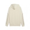PUMA SPORT HOODIE TR 87