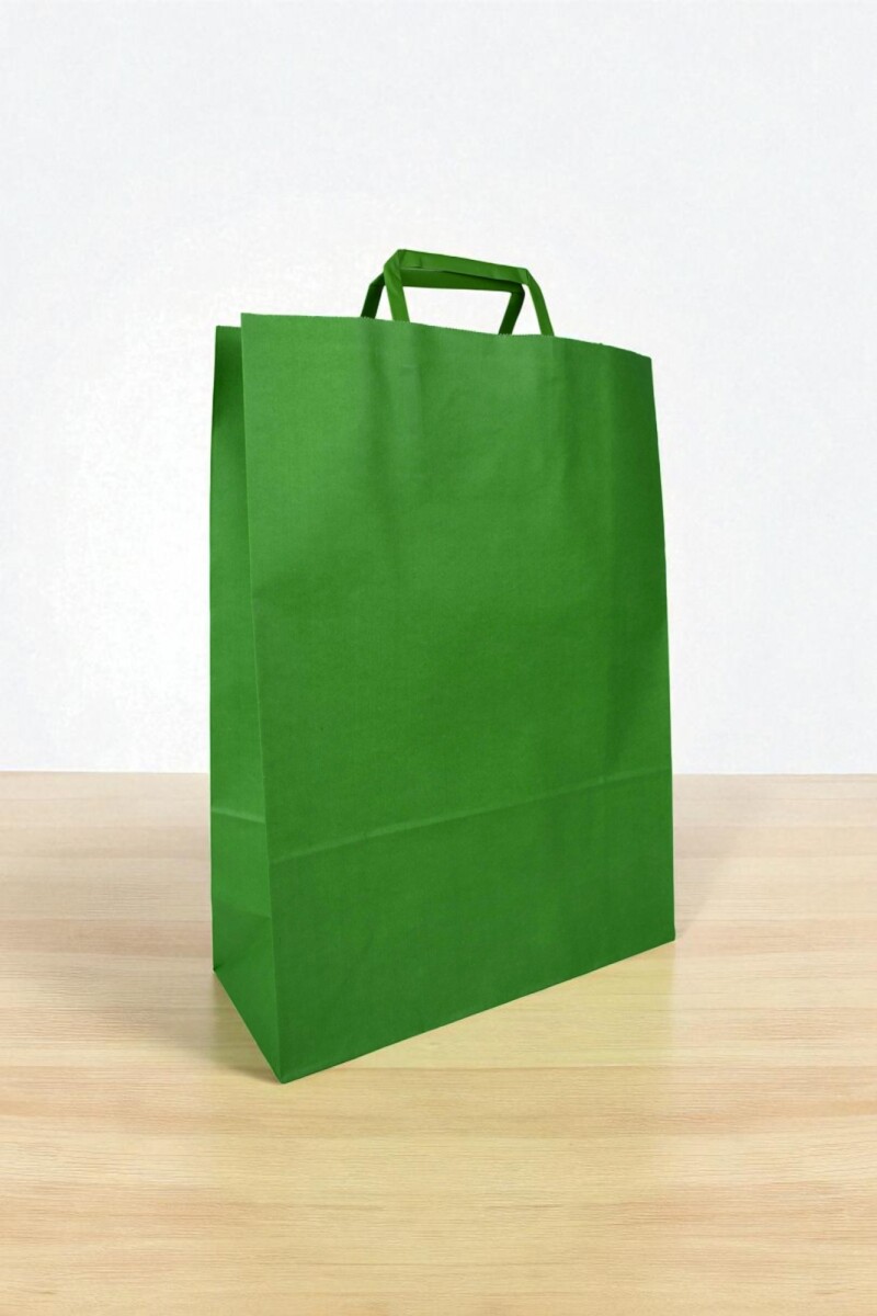 Bolsa lisa acuario 30x12x41 cm - VERDE 