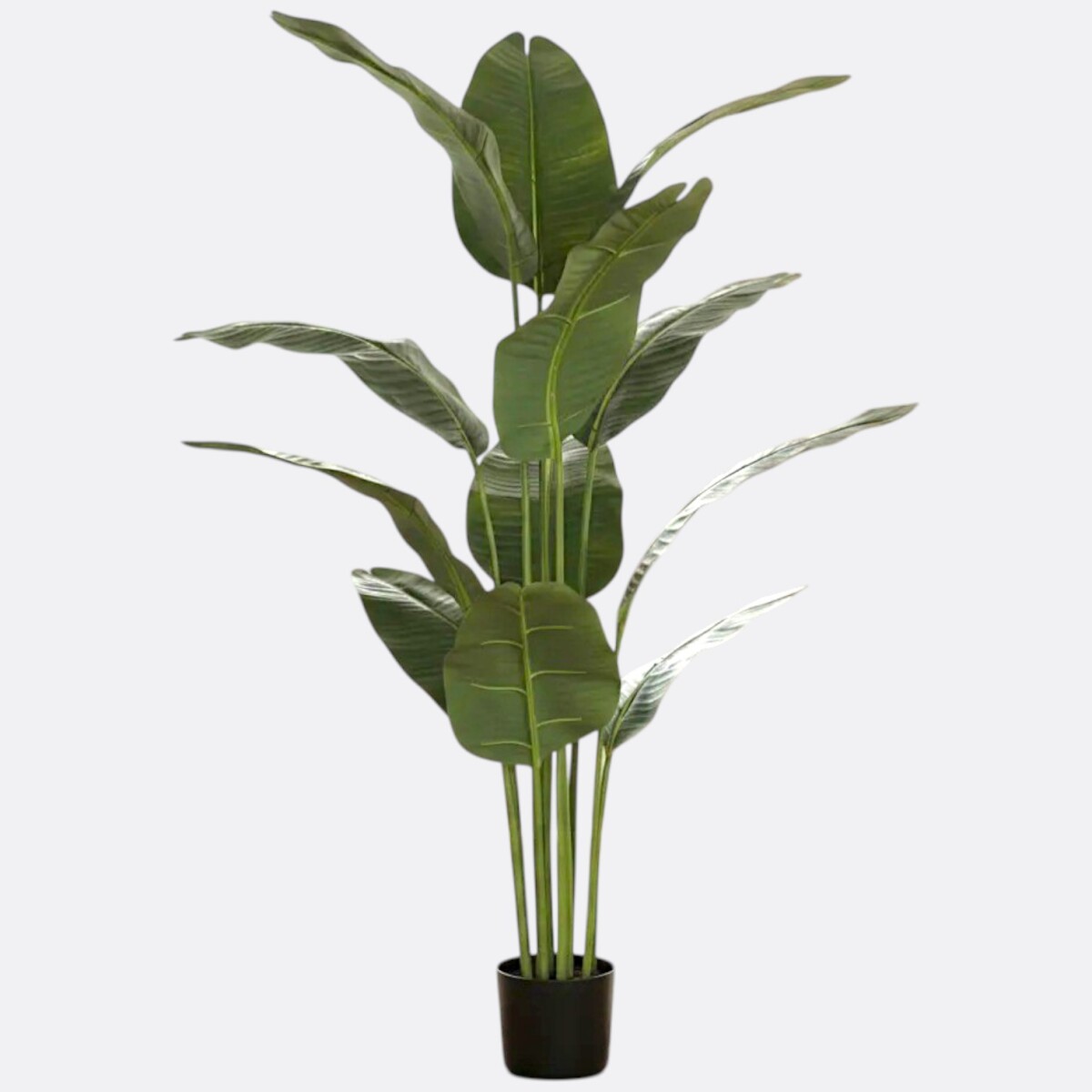 Planta Palmera Artificial Hoja Redonda 