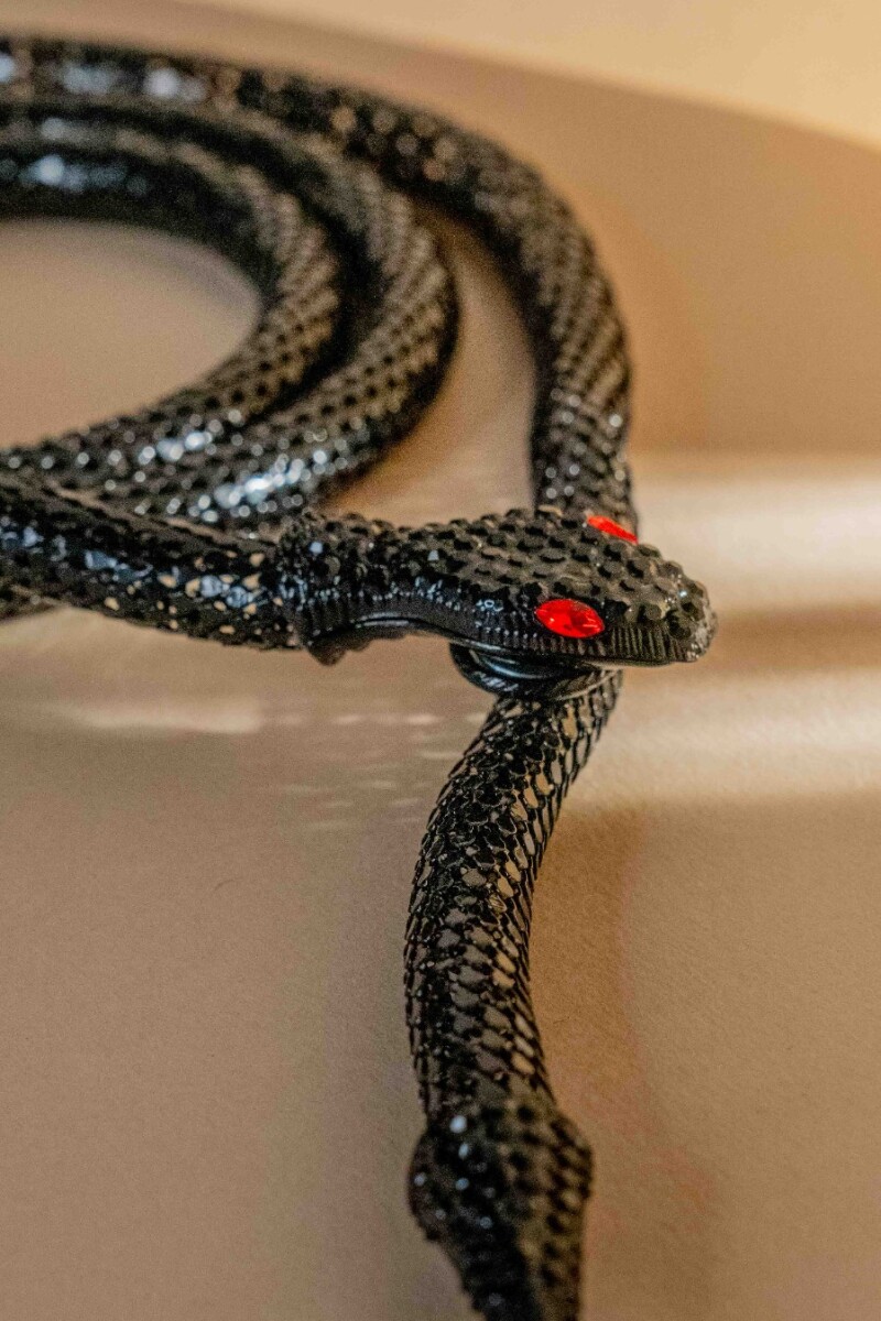 Collar Snake Negro