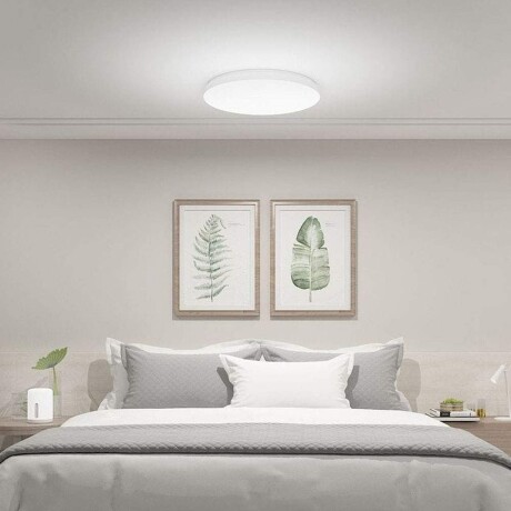 Luminaria de Techo Xiaomi Mi Smart Led Ceiling Light 45CM 001