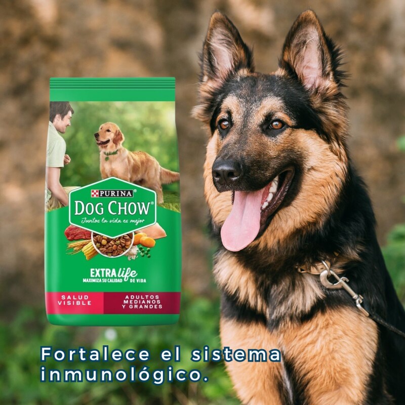 DOG CHOW PERROS ADULTOS RAZAS MEDIANAS Y GRANDES 21 KILOS DOG CHOW PERROS ADULTOS RAZAS MEDIANAS Y GRANDES 21 KILOS