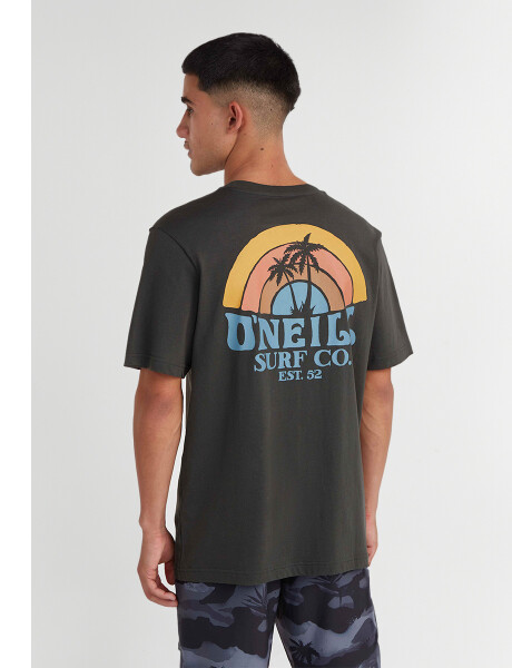 Remera O-Neill Beach Graphic Marrón