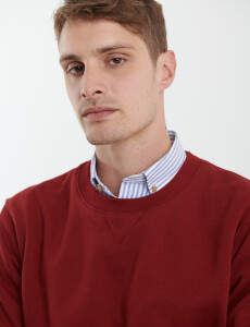 470559 SWEATER HARRY Bordo