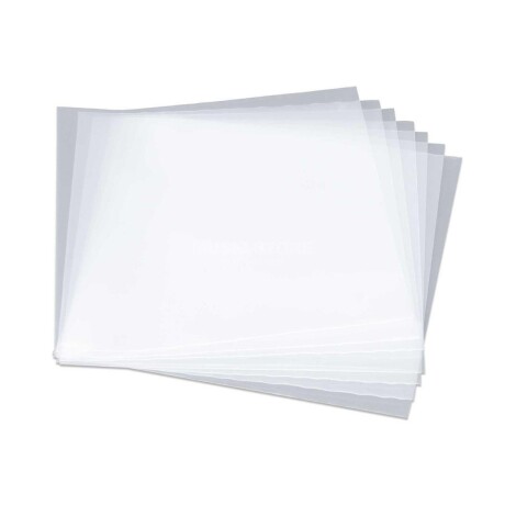Pack De 100 Fundas Exteriores De Nylon Para Discos De Vinilo Lp 12" Transparentes Pack De 100 Fundas Exteriores De Nylon Para Discos De Vinilo Lp 12" Transparentes