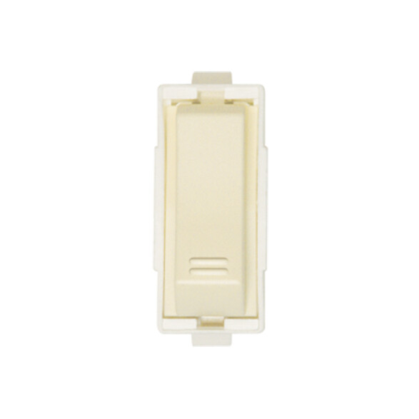 Módulo llave unipolar 10A 250V - Visione marfil C52102