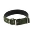 Collar Ajustable Reforzado Hebilla Nylon Perro Gato Mediano Variante Color Verde