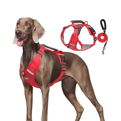 Arnés Y Correa P/Mascota Ajustable Tela Oxford Resistente Rojo
