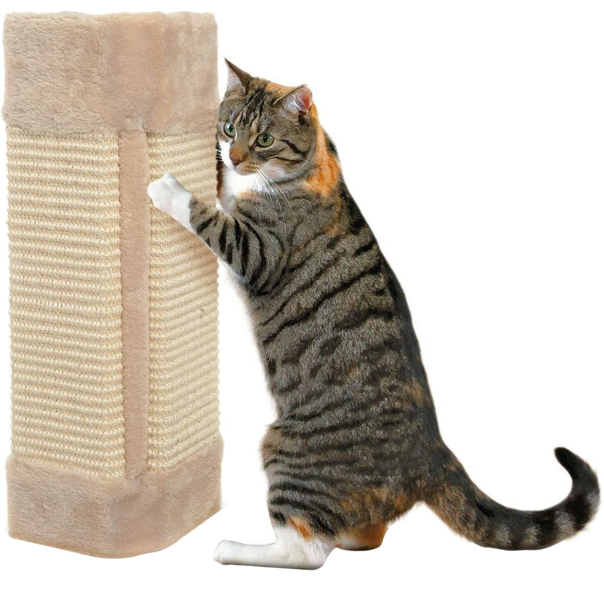 Rascador Gato Sillon Amurar Pared Tornillos Pom Pom Grande - Variante Color Beige 