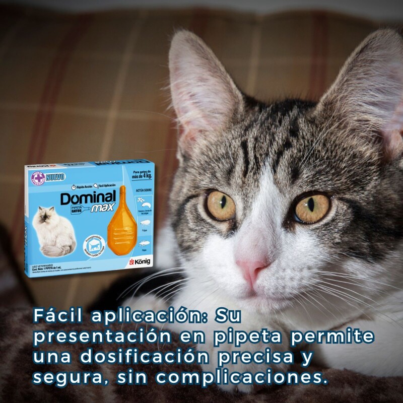 PIPETA ANTIPULGAS Y ANTIGARRAPATAS DOMINAL MAX GATOS + 4KG PIPETA ANTIPULGAS Y ANTIGARRAPATAS DOMINAL MAX GATOS + 4KG