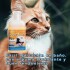 SHAMPOO GUARDIAN PET PARA PERROS Y GATOS PULGUICIDA Y PIOJICIDA 200 ML SHAMPOO GUARDIAN PET PARA PERROS Y GATOS PULGUICIDA Y PIOJICIDA 200 ML
