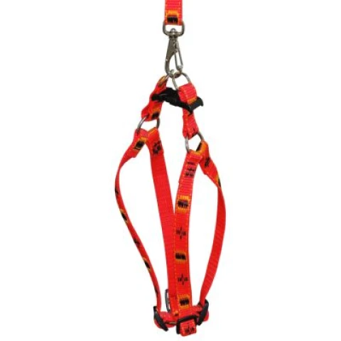Pretal + Correa New X Rojo XS Pretal + Correa New X Rojo XS