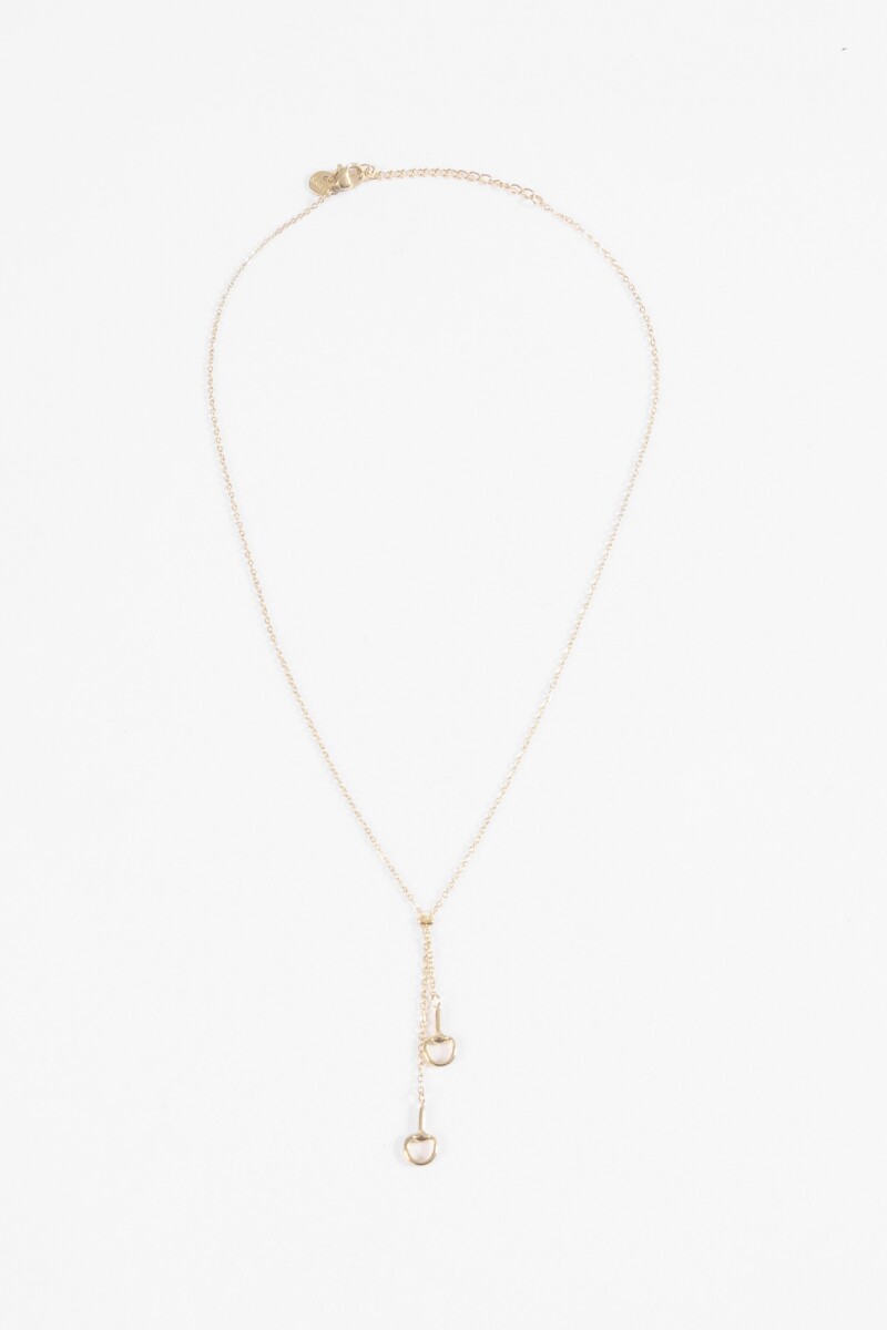 Collar acero con dije herradura dorado