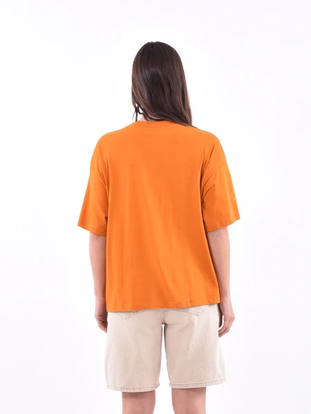 REMERA DENALI ESTAMPADO 6
