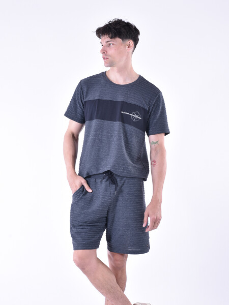 REMERA LEXUS NEGRO (V)