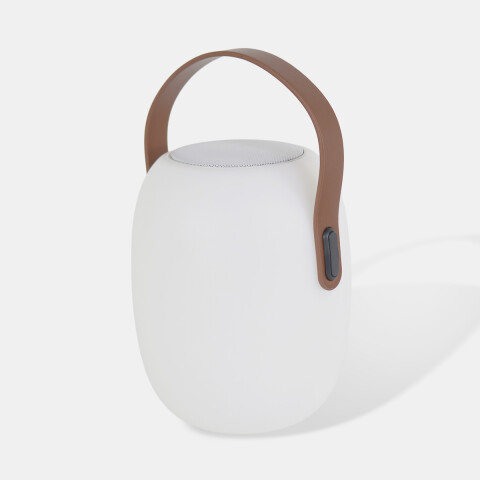 SPEAKER C/LUZ A BLUETOOH C/CONTROL Y USB18X25CM Unica