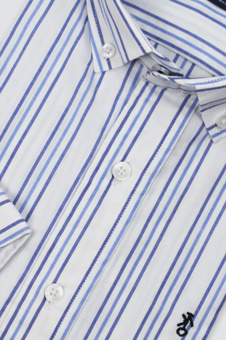 Camisa de Hombre Premium Rayada Raya triple azul y celeste