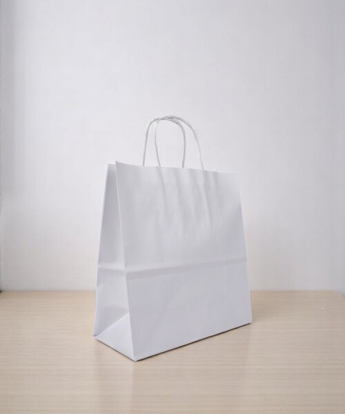 Bolsa lisa luna 22x10x24 cm BLANCO