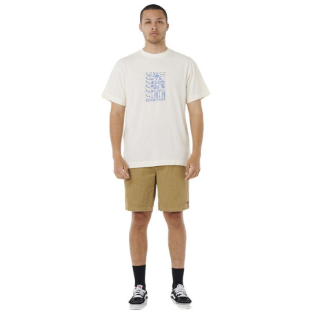 Remera Rip Curl Aots Ty Williams Stacked Tee Blanco