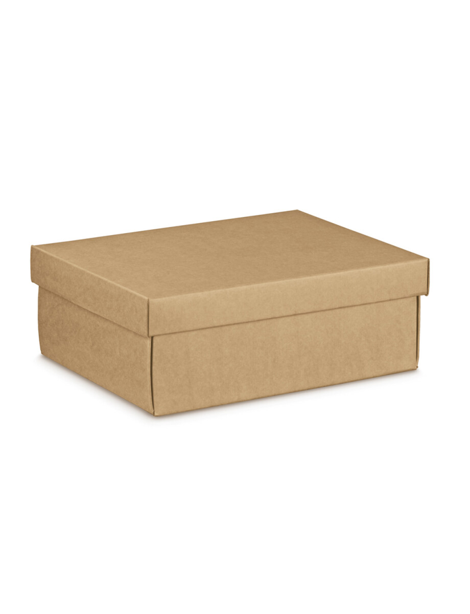 CAJA+TAPA EASY 38X26X13 cm - AVANA 