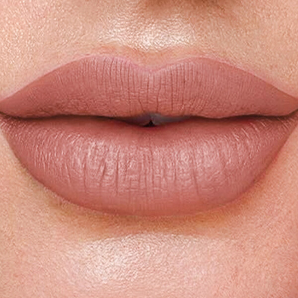 LABIAL PERFECT STAY 100% MATE ARMAND DUPREE TWEED