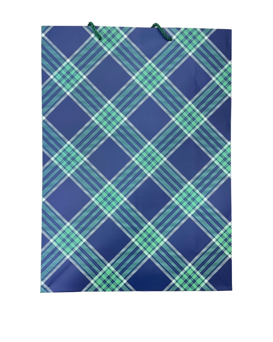 BOLSO DE REGALO CON DISEÑO ELEGANTE • 41,5x30m 