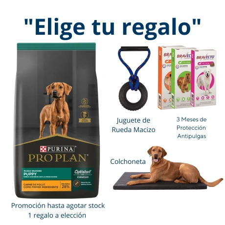 PRO PLAN CACHORRO GRANDE 15KG Pro Plan Cachorro Grande 15kg