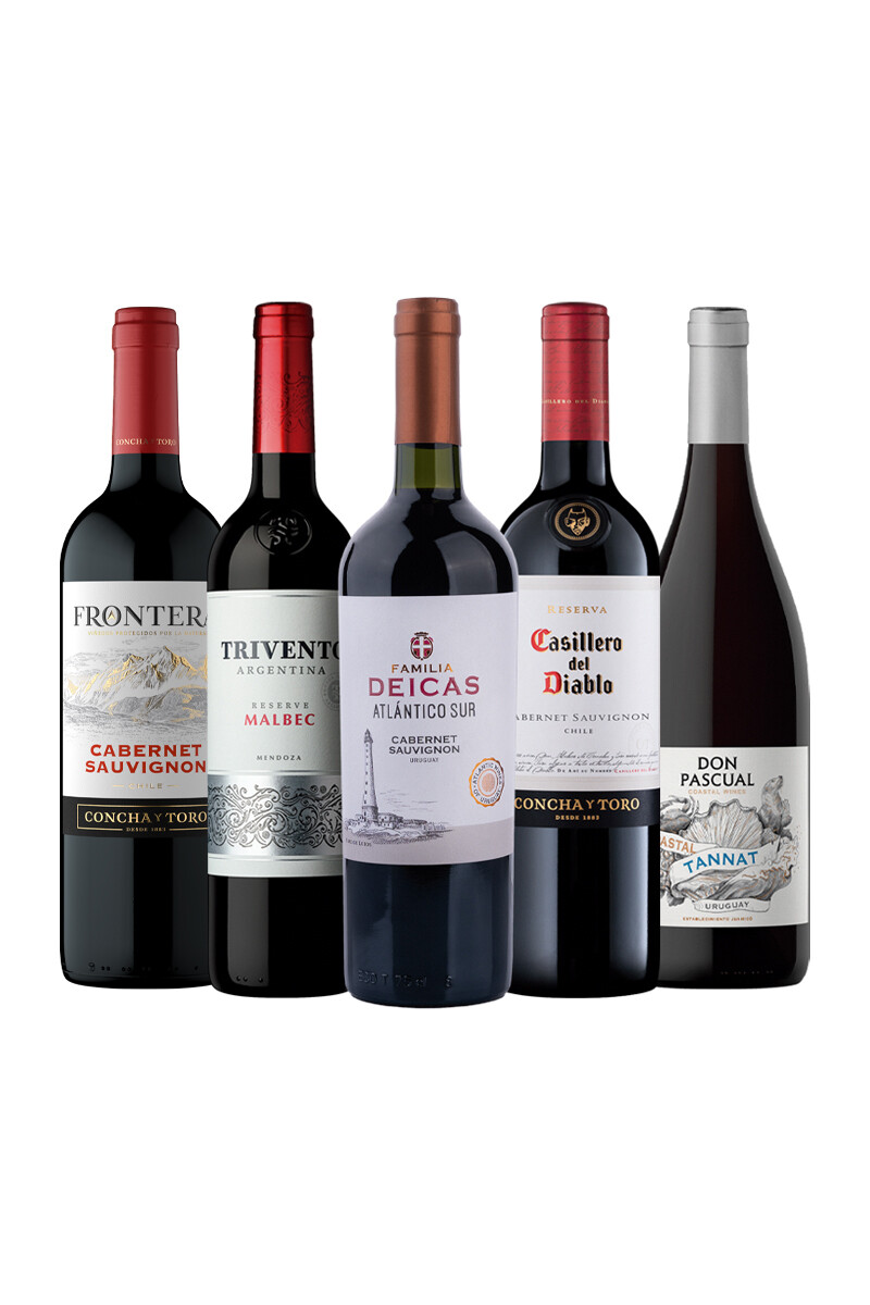 Pack Bacán Entre Sabores x5 vinos La Mesa Al Fuego 