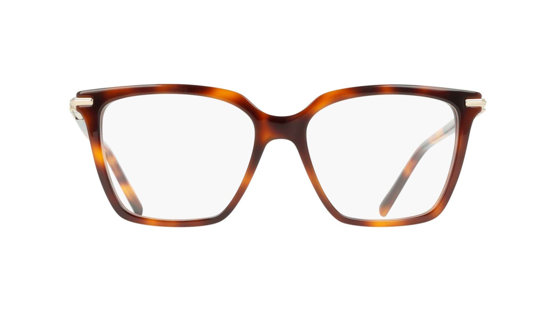 Ferragamo 3038/54 col 240 