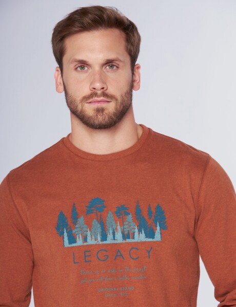 REMERA ESTAMPADA Terracota