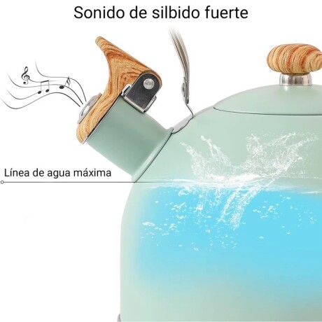 Pava Caldera Sonifer 2.5l Silbato Acero Inoxidable Inducción Verde