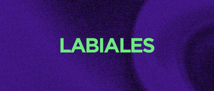 Labiales Digital Days
