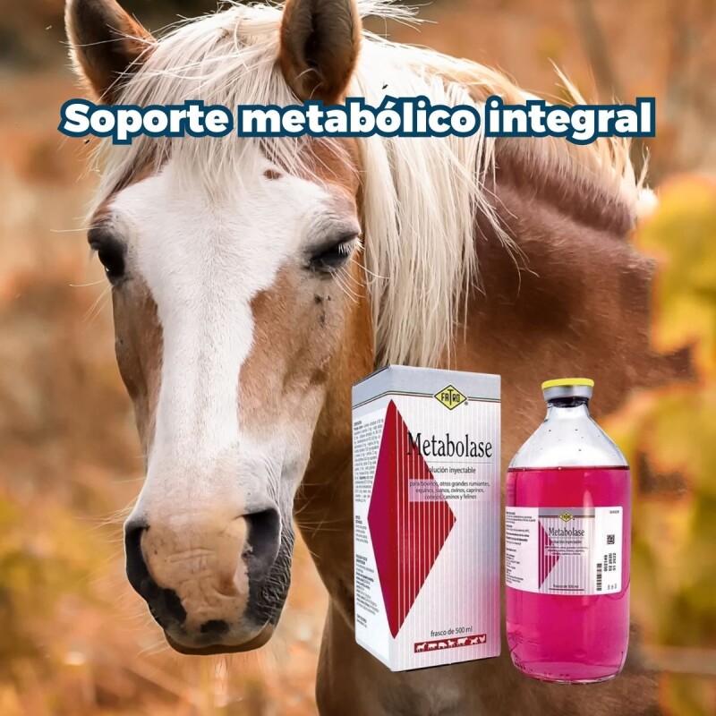 METABOLASE FRASCO 500 ML METABOLASE FRASCO 500 ML