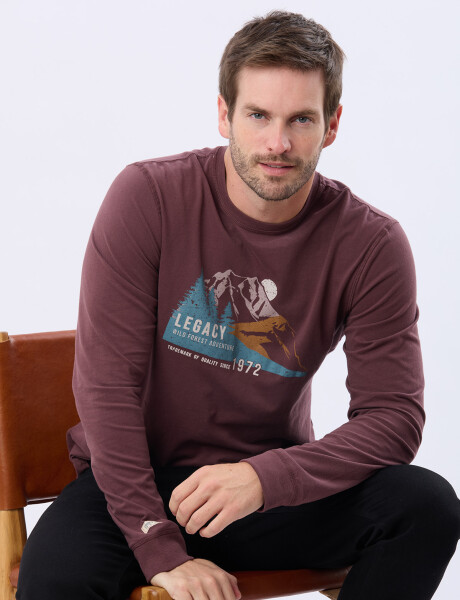 REMERA ESTAMPADA BORDO